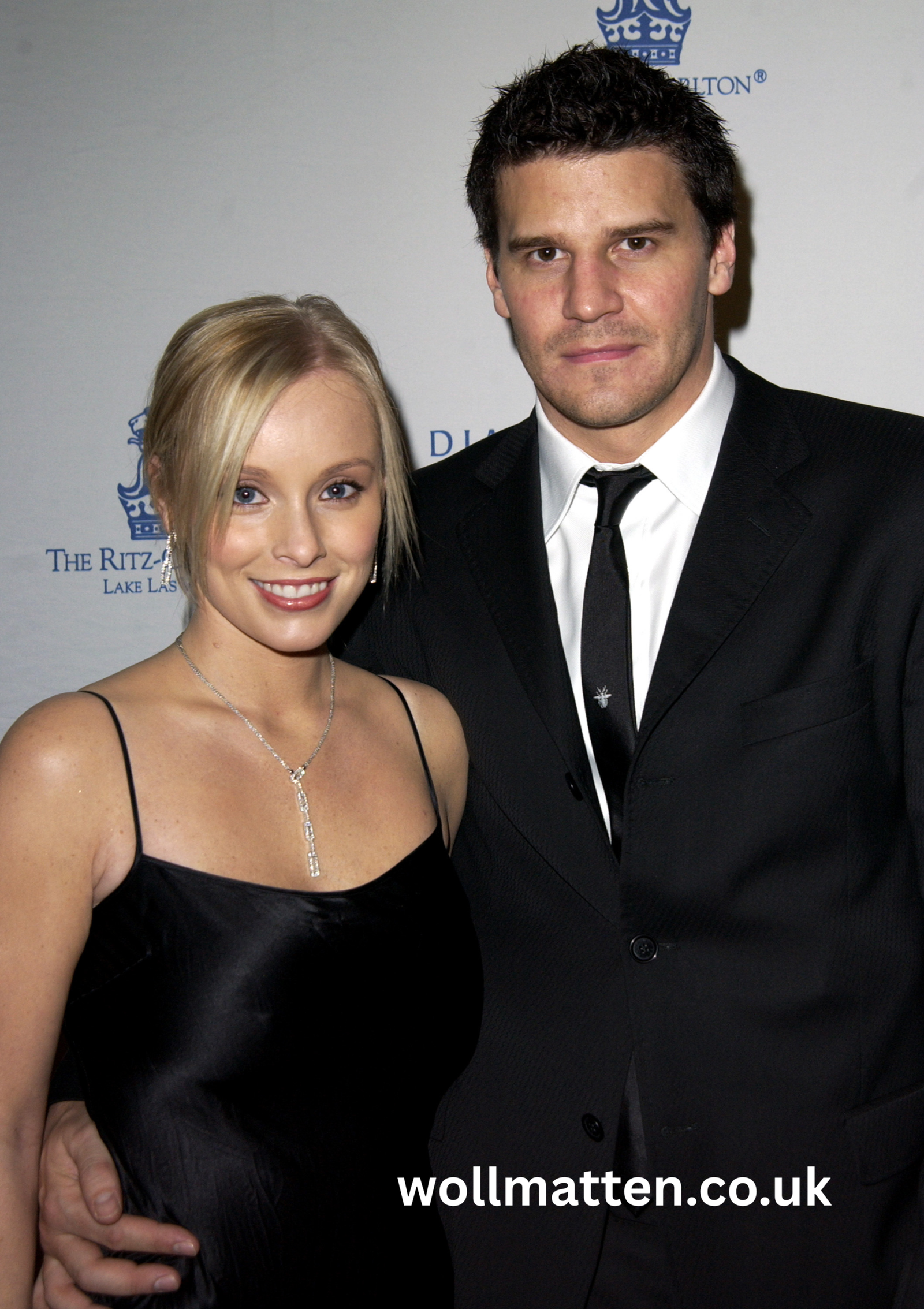 ingrid quinn david boreanaz wife: The Untold Truth